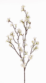 Sakura bloesemtak Prunus jamasakura  96cm